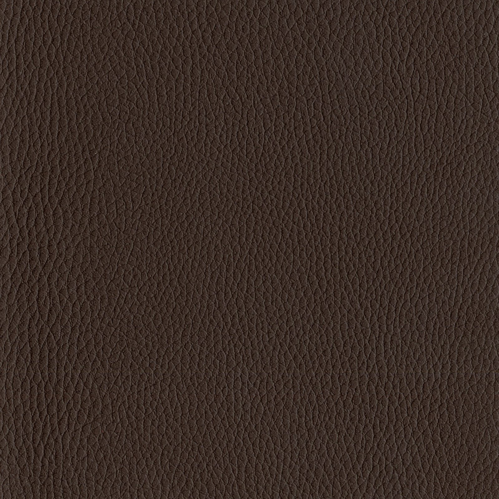 AMBLA Exmoor ASHWICK braun