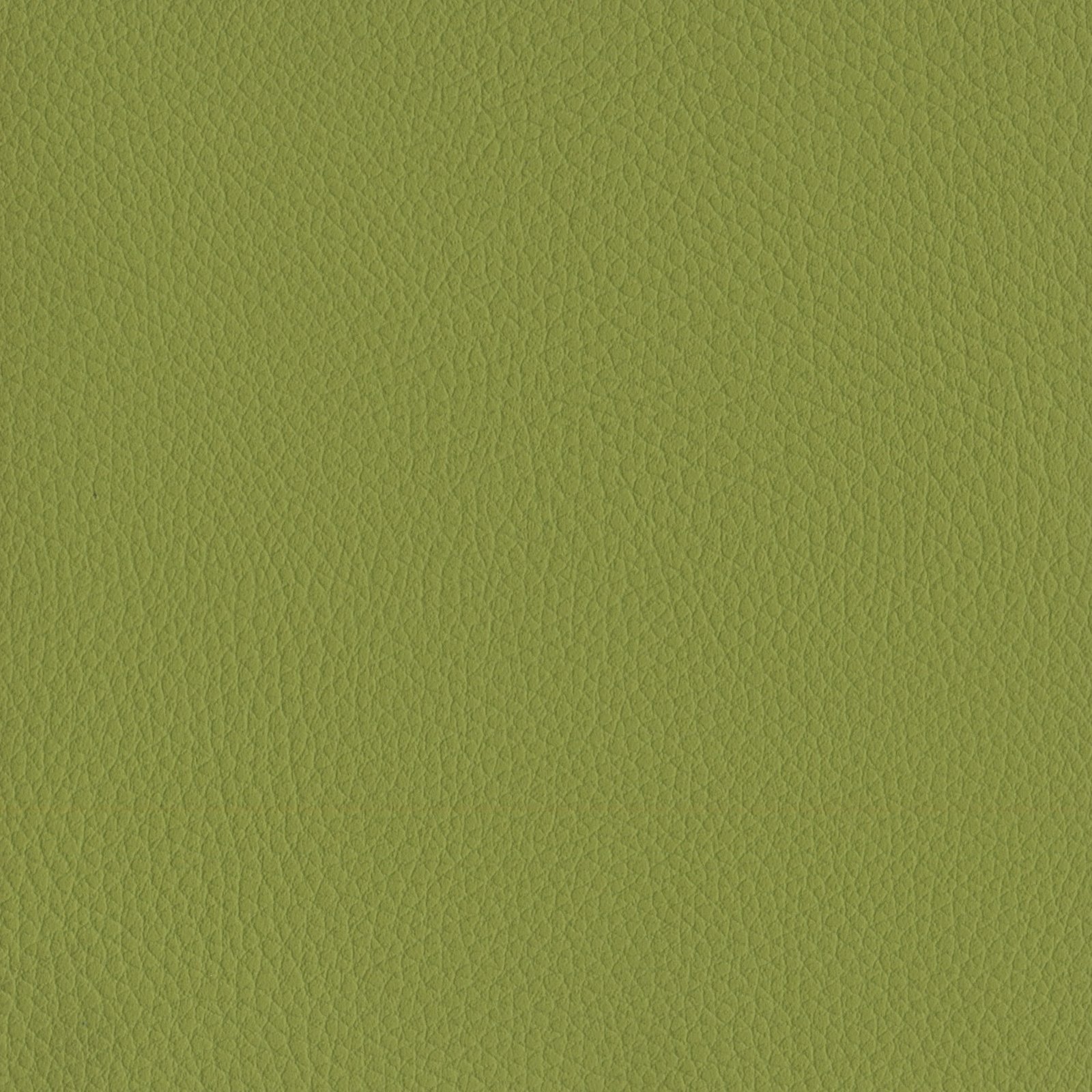 AMBLA Exmoor BRATTON apfelgrün