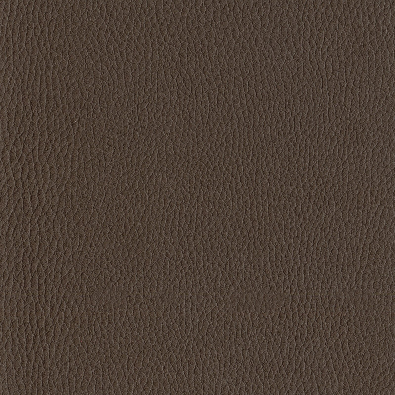 AMBLA Exmoor BURROW mittelbraun