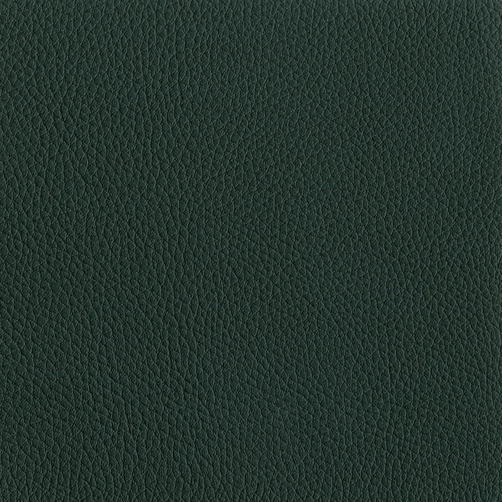 AMBLA Exmoor HAWKRIDGE dunkelgrün