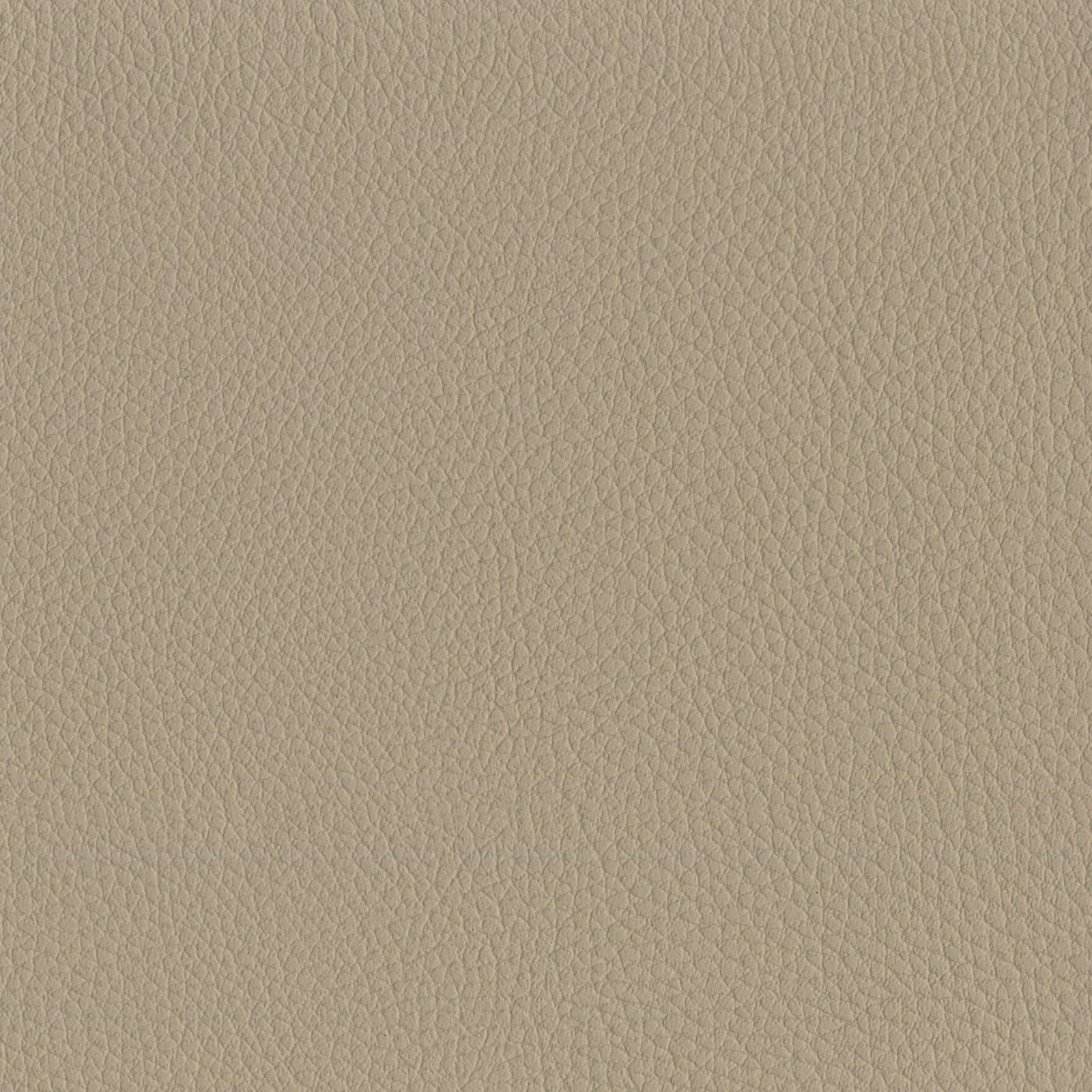 AMBLA Exmoor HOLNICOTE graubeige