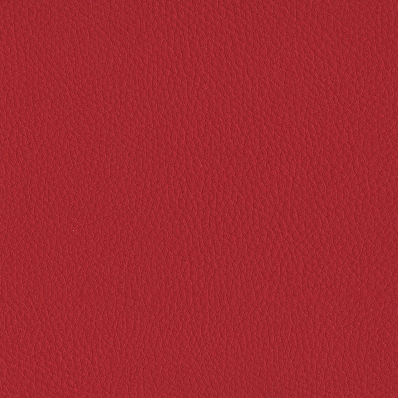 AMBLA Exmoor HORNER rot