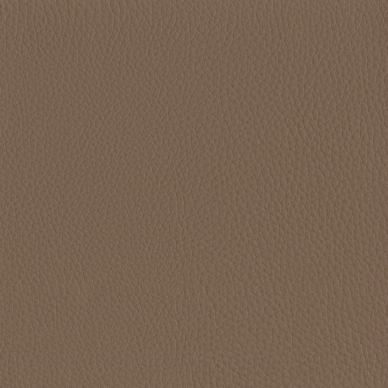 AMBLA Exmoor NUTCOMBE braunbeige