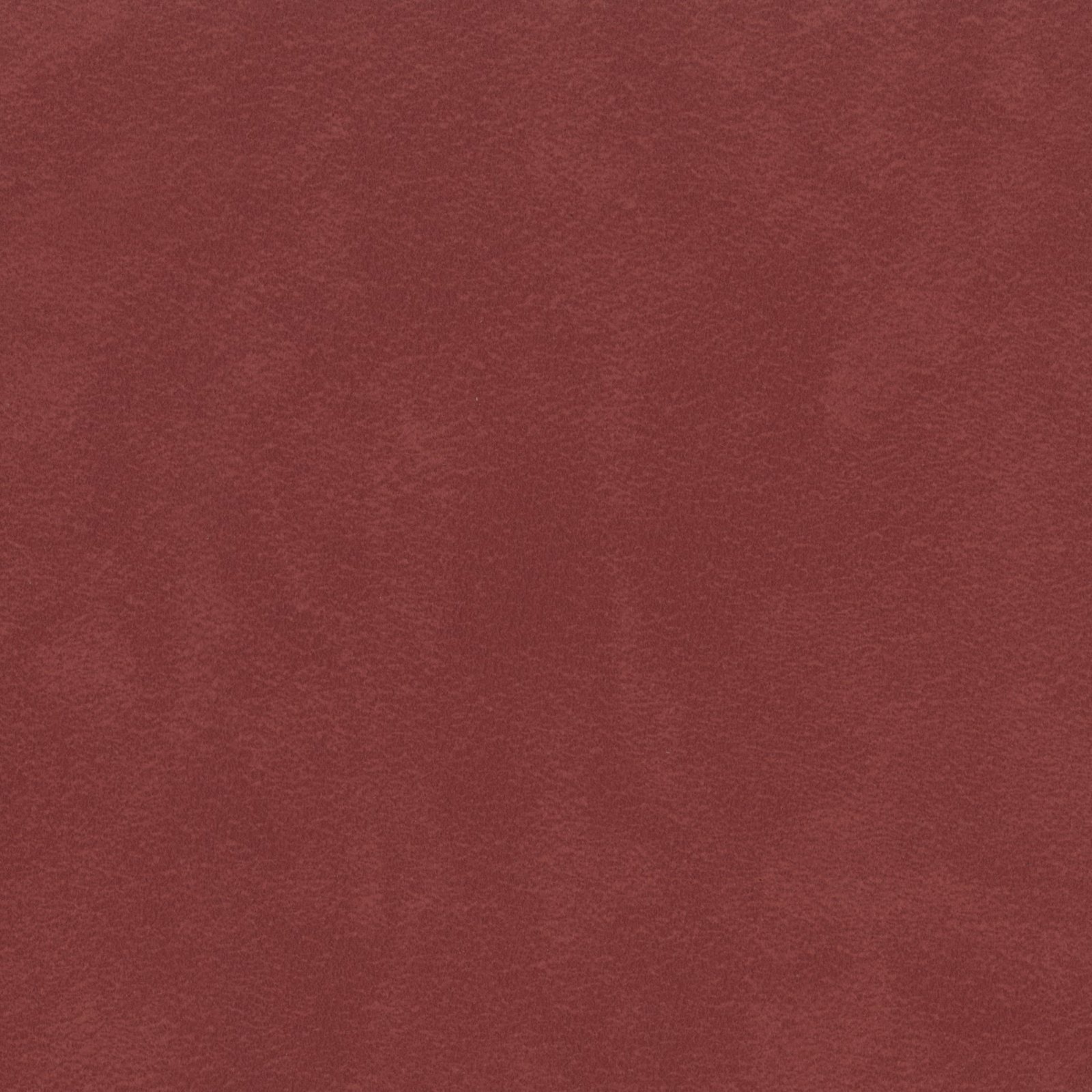 AMBLA Munro CONIVAL rot