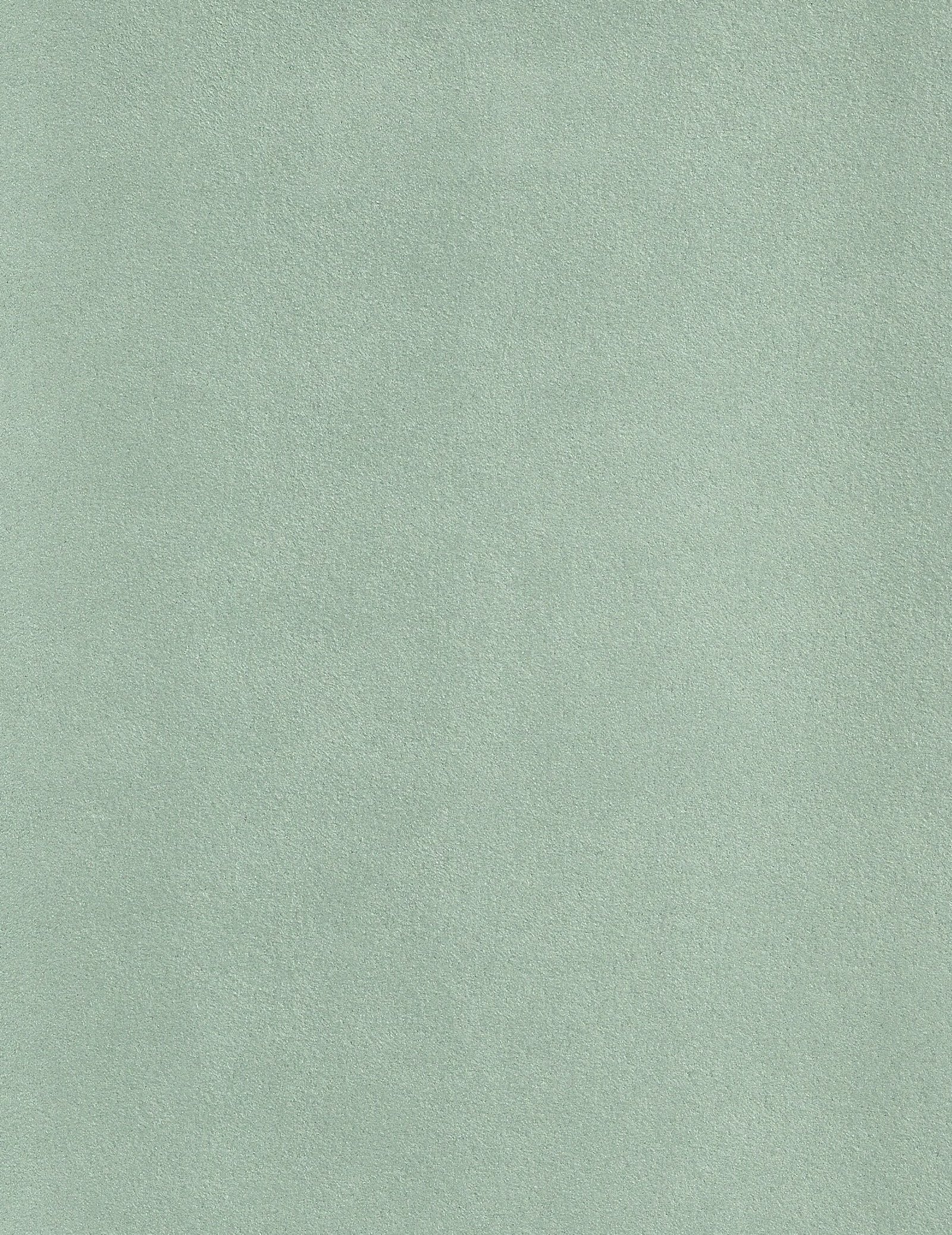 NIROXX Classic 543010 mint_pastellgrün