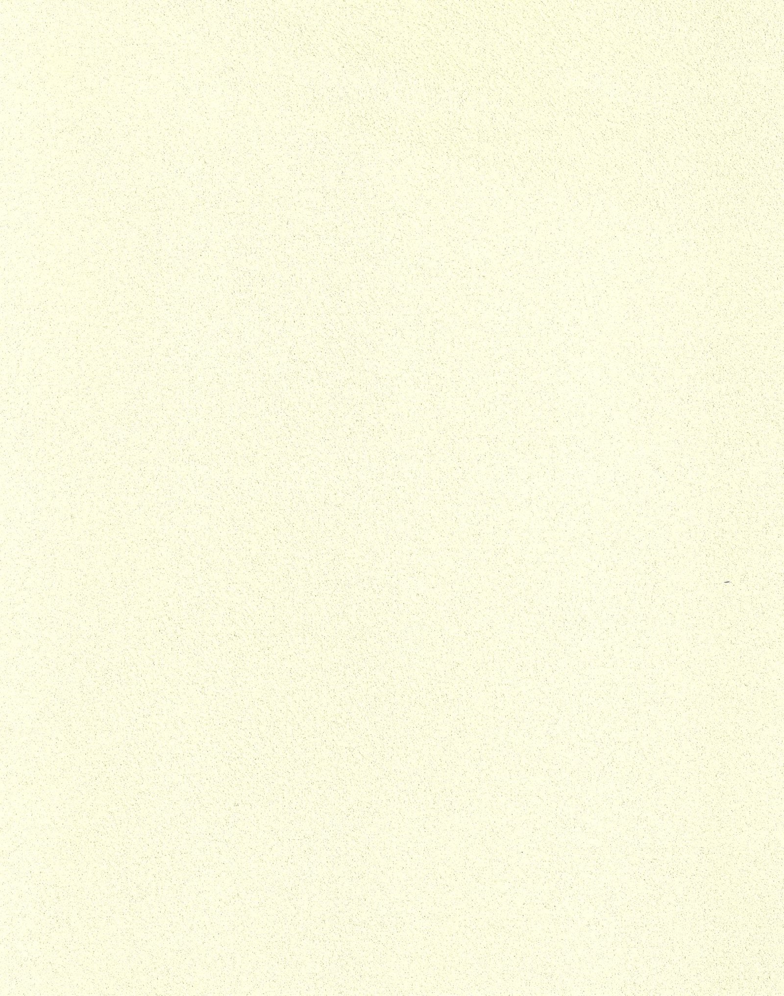 NIROXX Classic 543012 natur_creme