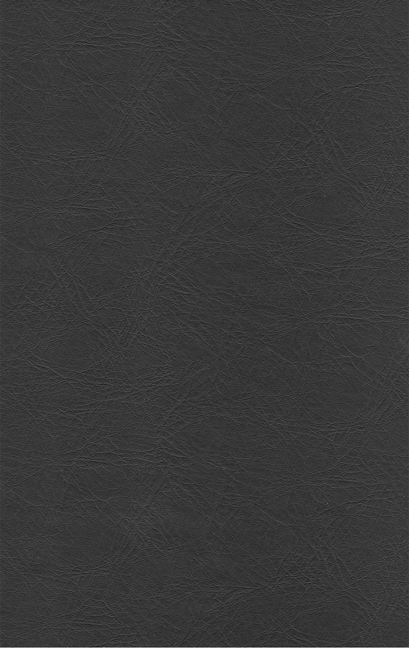 PUxx #1 21.5816 schwarz