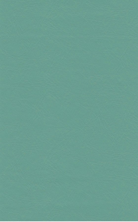 PUxx #1 21.6491 türkisgrün