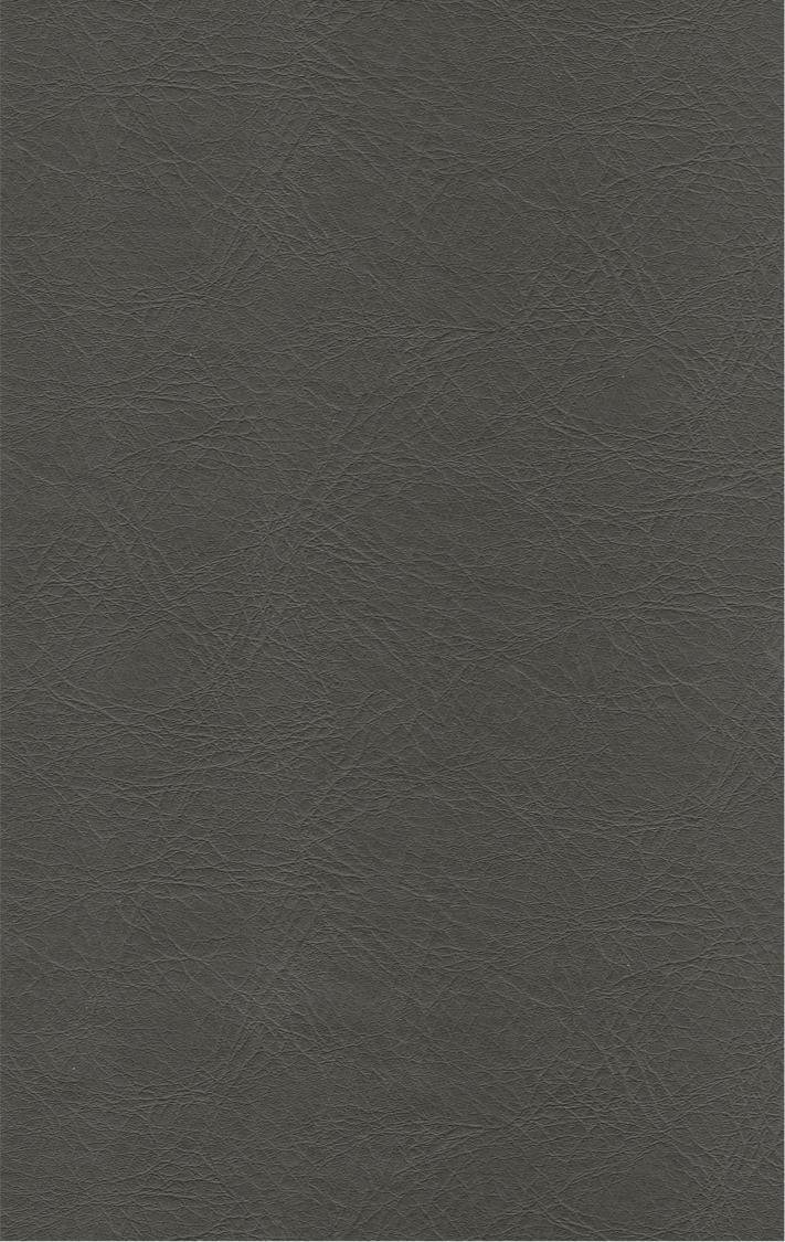 PUxx #1 21.7206 dunkelgrau