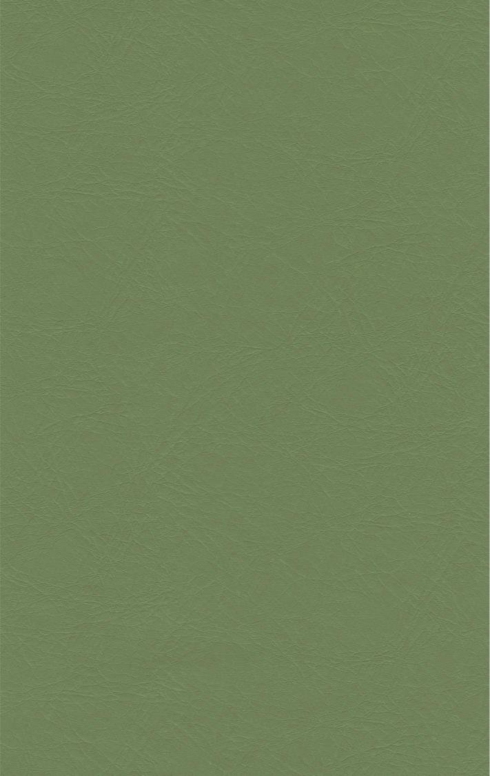 PUxx #1 21.7482 olivgrün