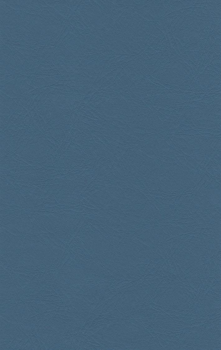 PUxx #1 21.7606 blau