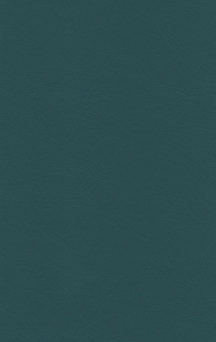 PUxx #1 21.7608 türkis