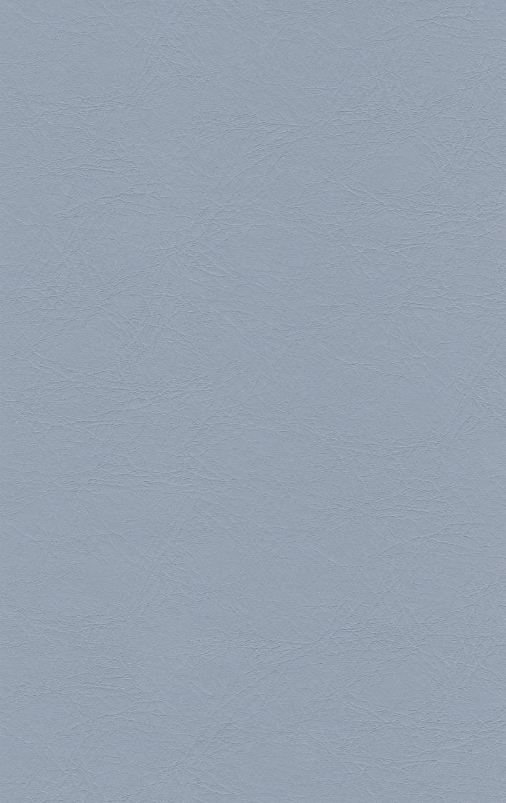 PUxx #1 21.7610 graublau