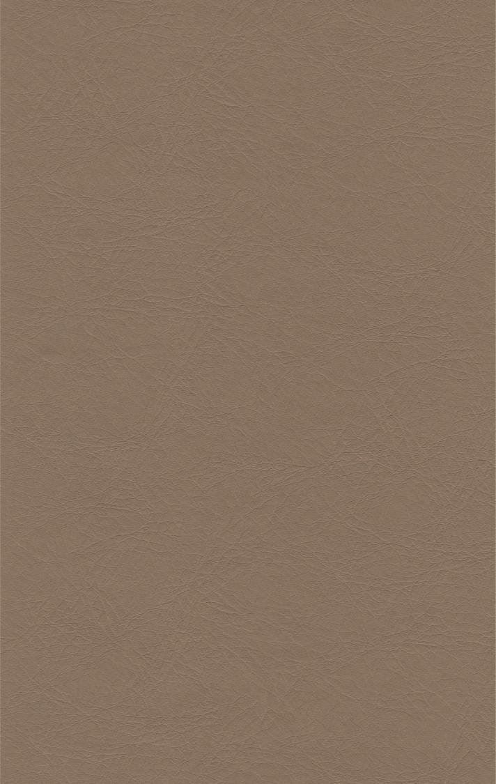 PUxx #1 21.7707 mittelbraun