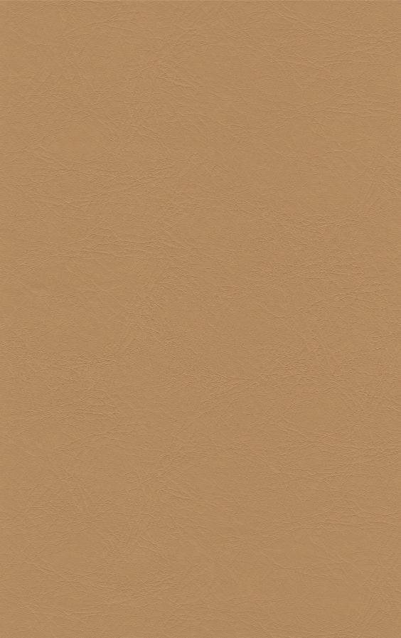 PUxx #1 21.7722 kamelbraun