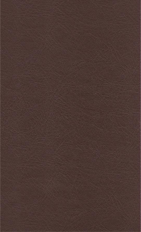 PUxx #1 21.7723 kastanienbraun