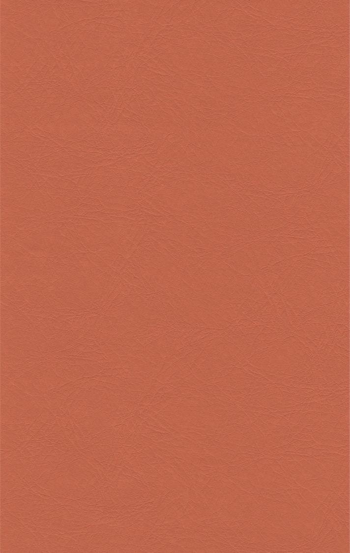 PUxx #1 21.9527 orange