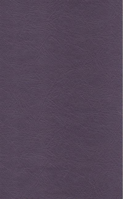 PUxx #1 21.9530 aubergine