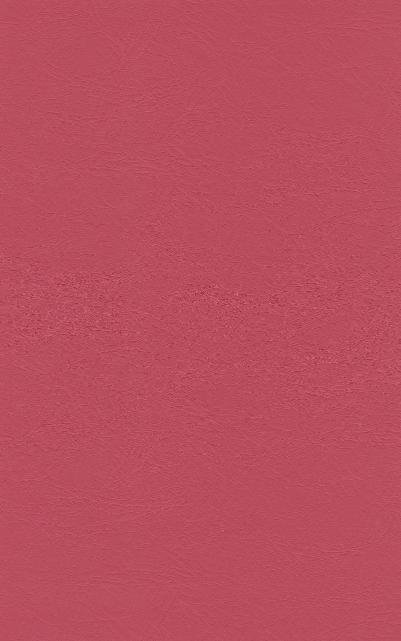 PUxx #1 21.9533 aprikot