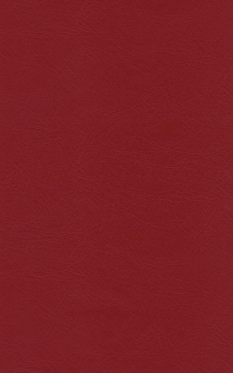 PUxx #1 21.9534 rotbraun