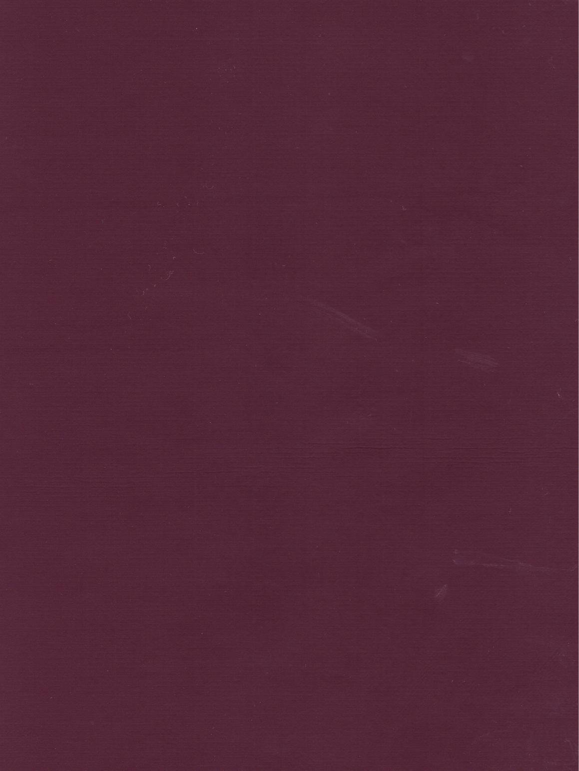 PUxx #2 22.3034 aubergine