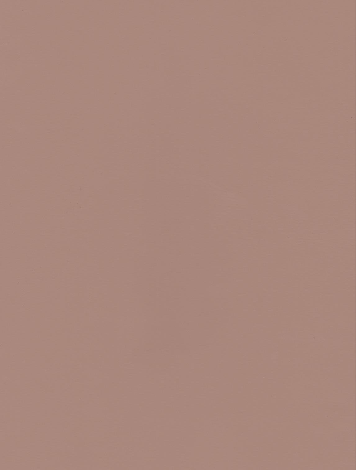 PUxx #2 22.3036 braunbeige