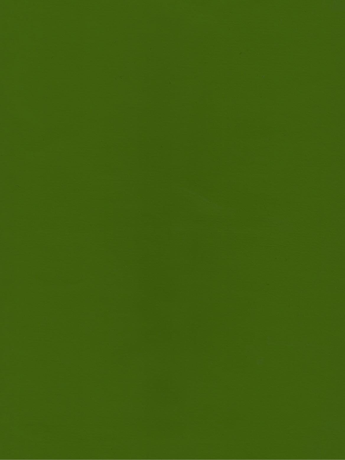 PUxx #2 22.3047 apfelgrün