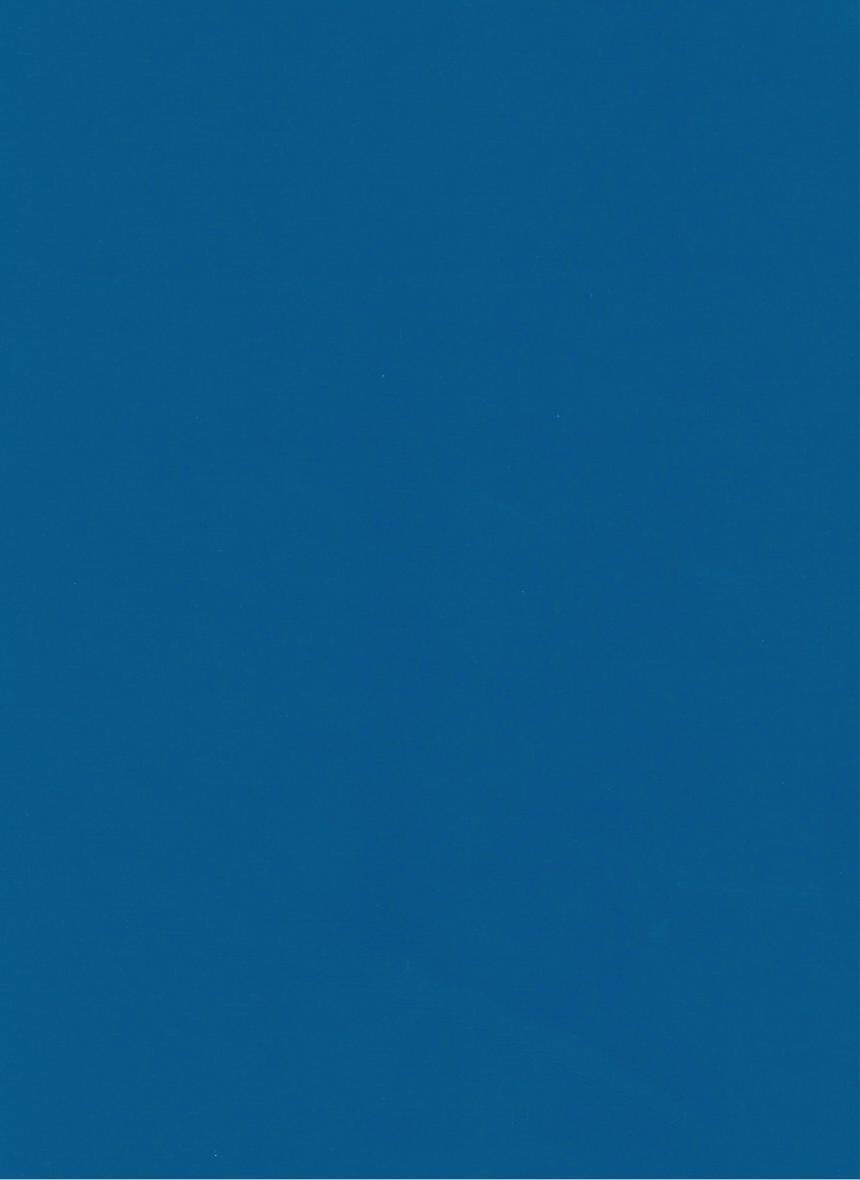 PUxx #2 22.8658 blau